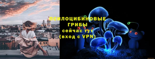 дмт Зеленокумск