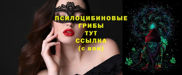 PSILOCYBIN Инта