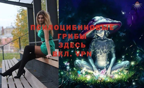 PSILOCYBIN Инта