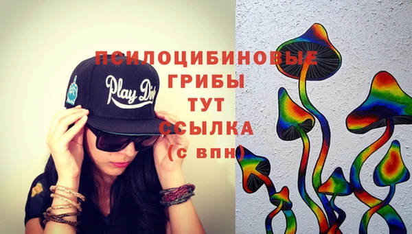 PSILOCYBIN Инта