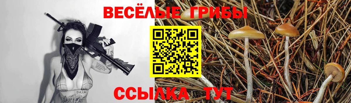 Псилоцибиновые грибы мухоморы  Вход с VPN  Костомукша 