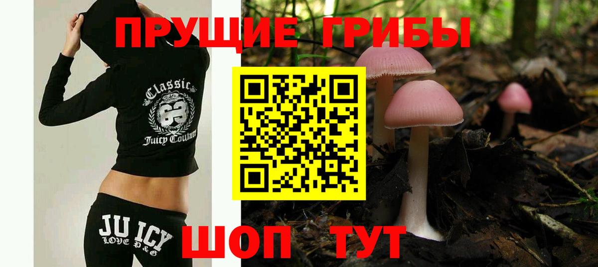 Галлюциногенные грибы прущие грибы Костомукша