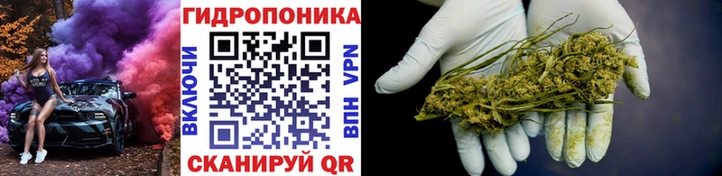 ссылка на мегу сайт  Костомукша  Бошки Шишки тримм 